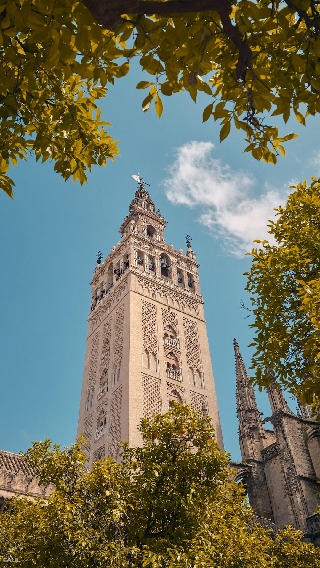 Sob a sombra da Giralda